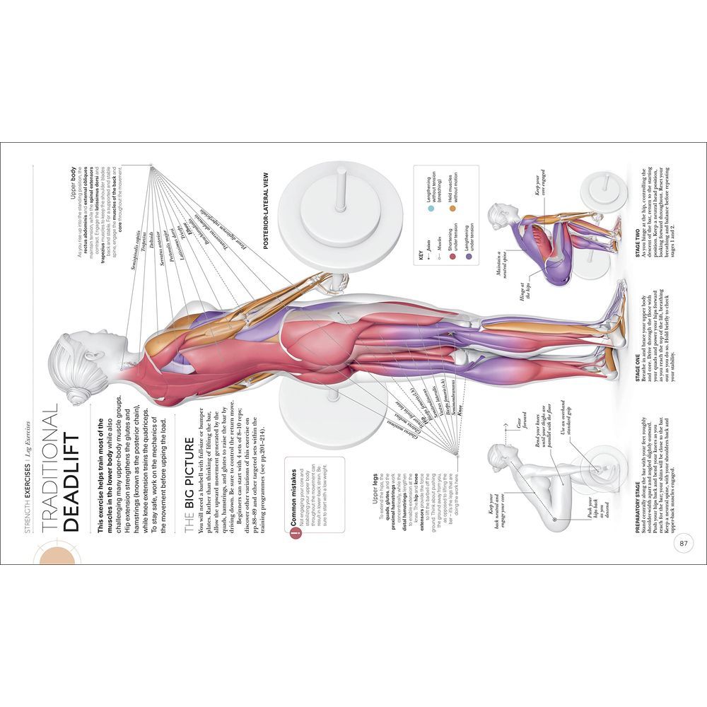 Science of Strength Training