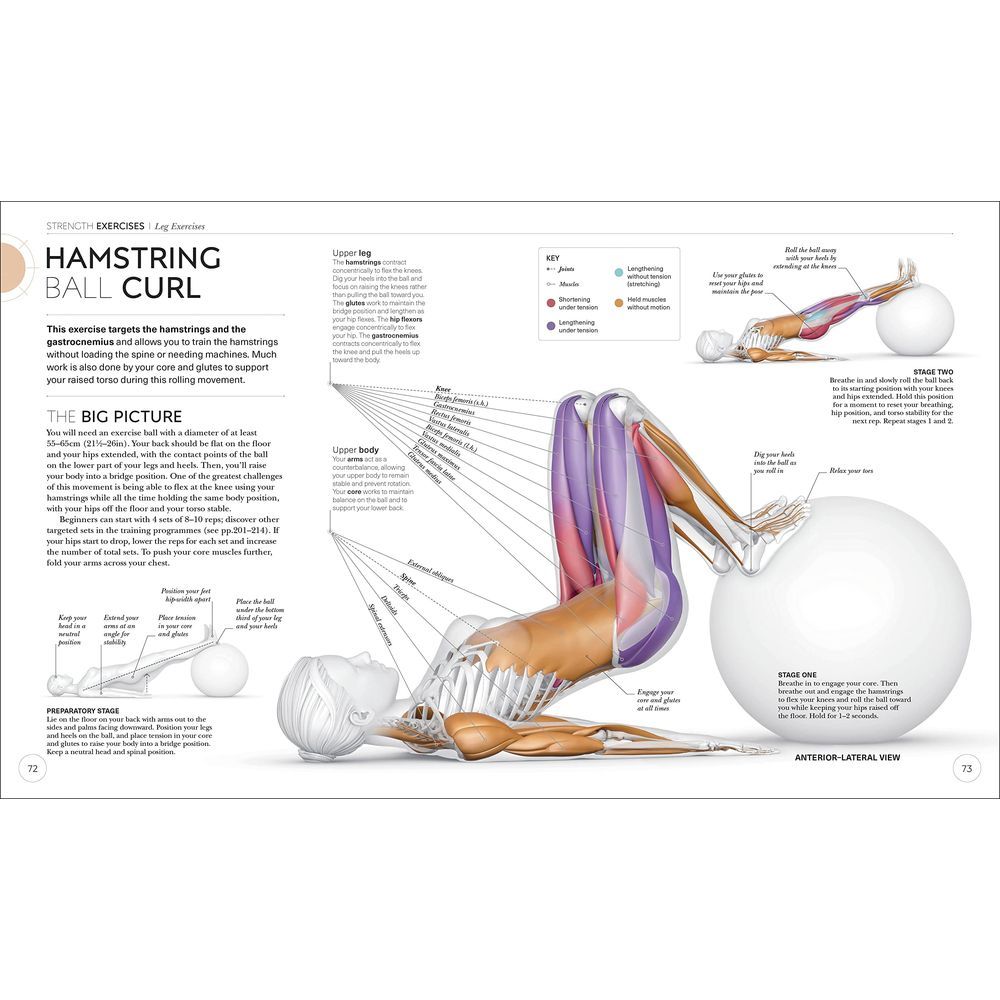 Science of Strength Training