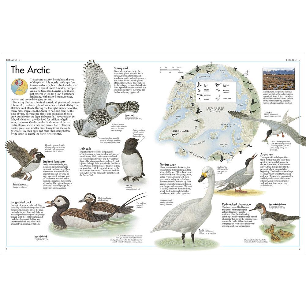 أطلس The Bird Atlas