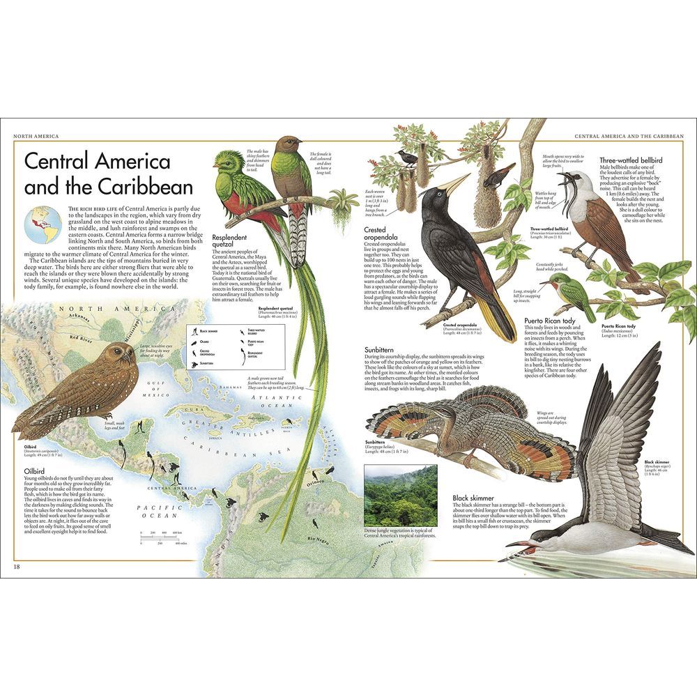 أطلس The Bird Atlas