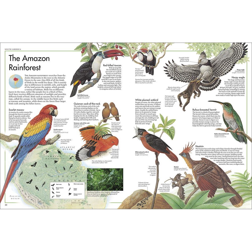 The Bird Atlas