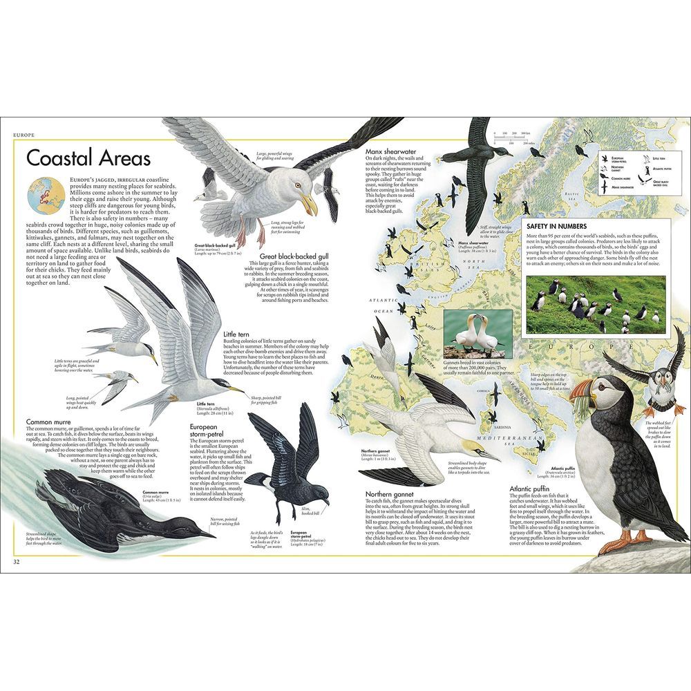 أطلس The Bird Atlas