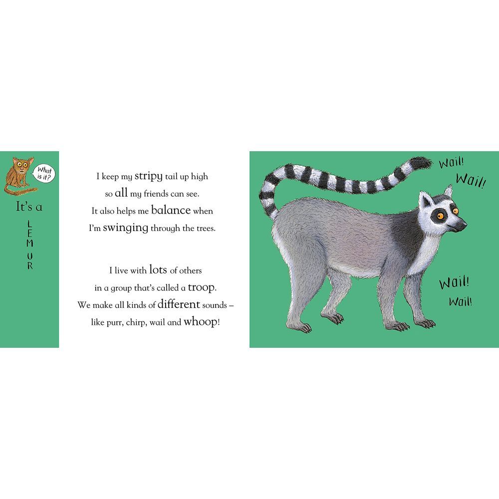 كتاب Axel Scheffler's Flip Flap Zoo