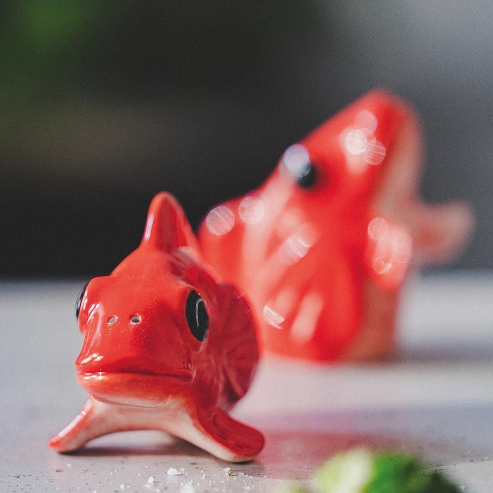 Donkey - Fishes For Dishes Salt And Pepper Set - Orange