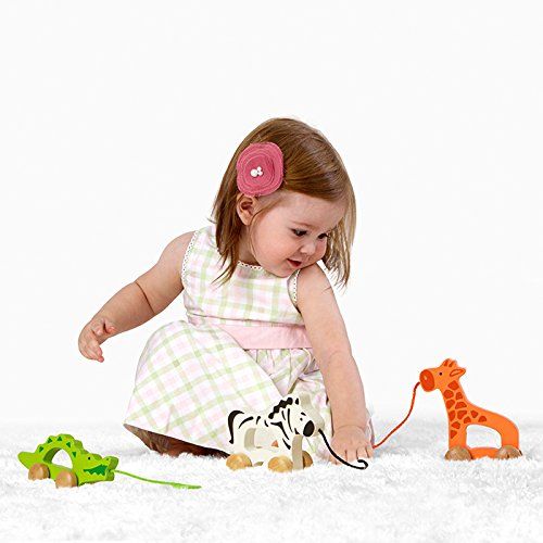 Hape Giraffe Push and Pull Toy