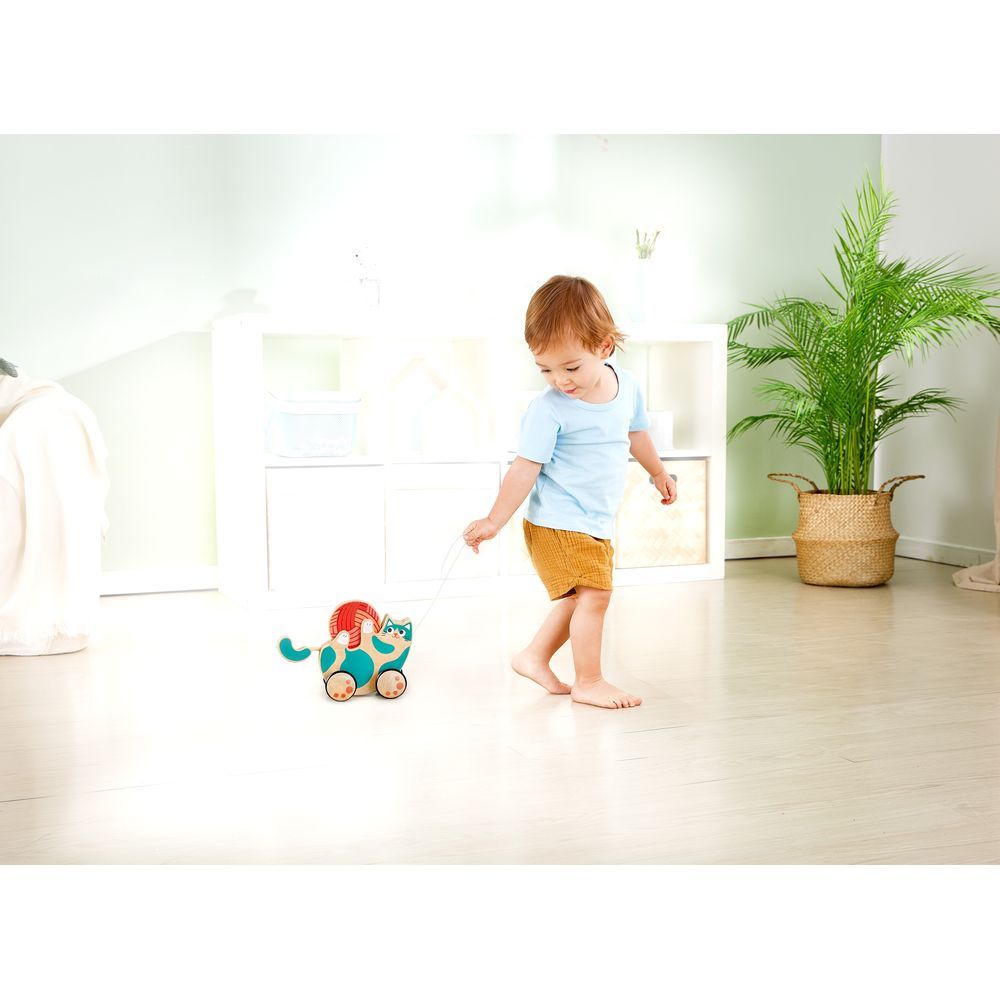 Hape - Roll & Rattle Kitten Pull Along Toy