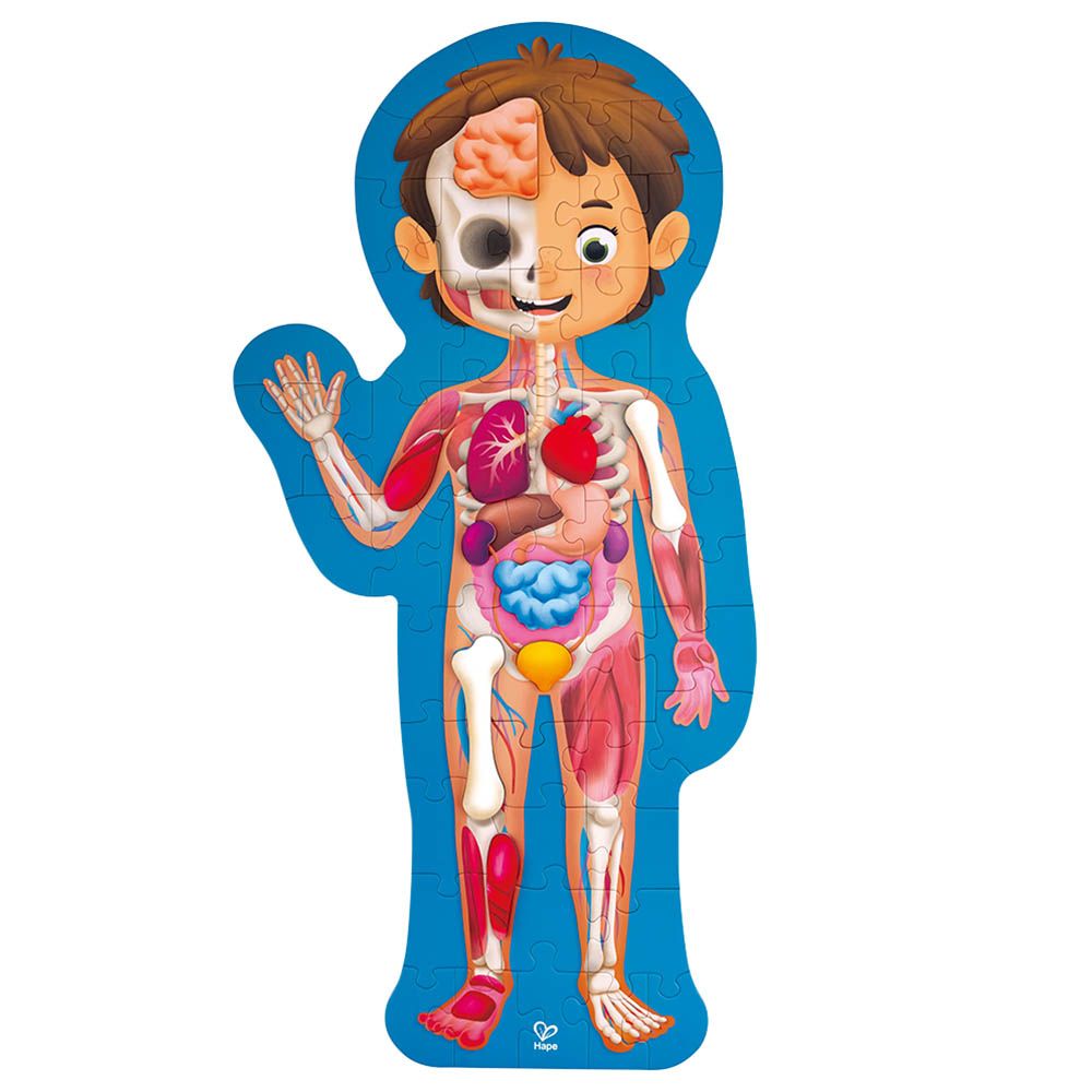 Hape - Human Body Jigsaw Puzzle 60pcs w/ 10pcs Wooden Body Parts