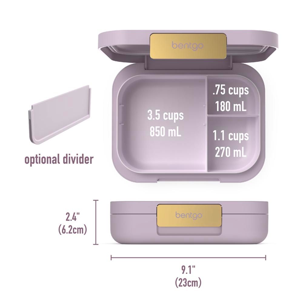 بينتغو - صندوق غداء مودرن للكبار 4 أقسام 850 مل- بنفسجي أوركيد