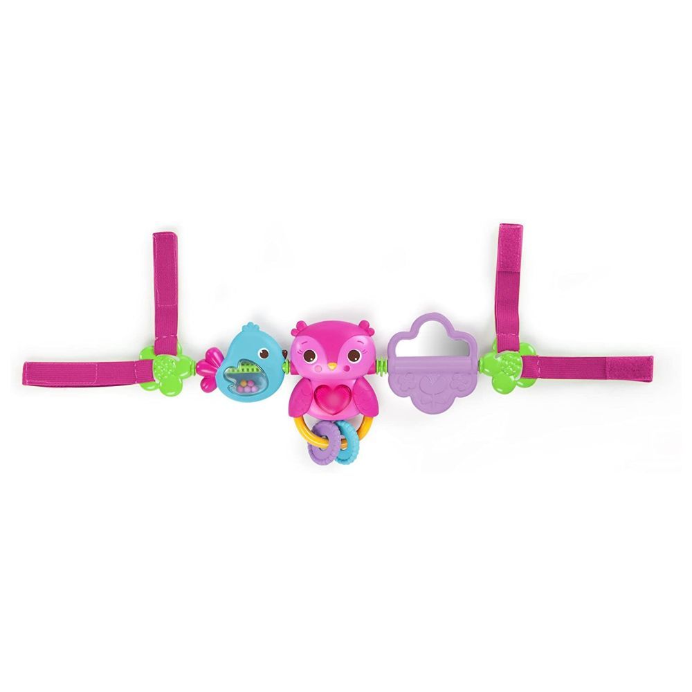 Bright Starts - Busy Birdies Carrier Toy Bar Toy - Pink