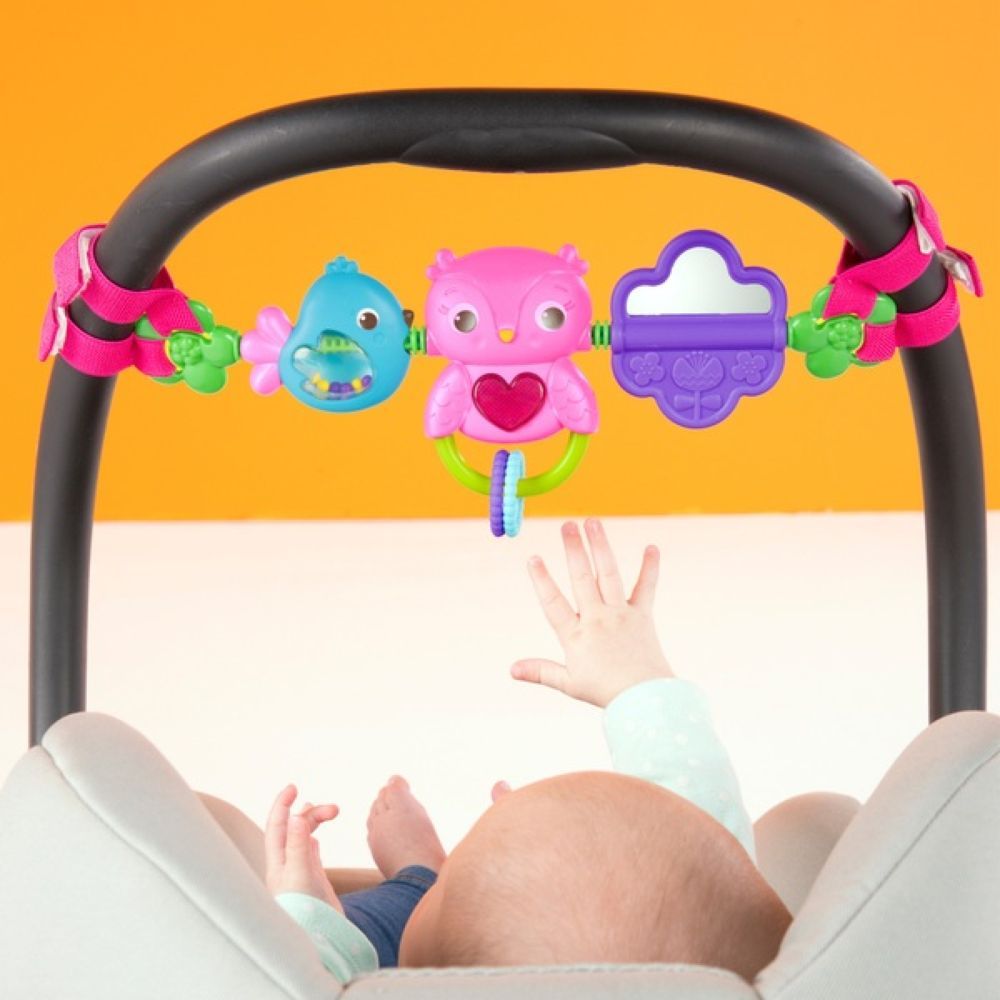 Bright Starts - Busy Birdies Carrier Toy Bar Toy - Pink