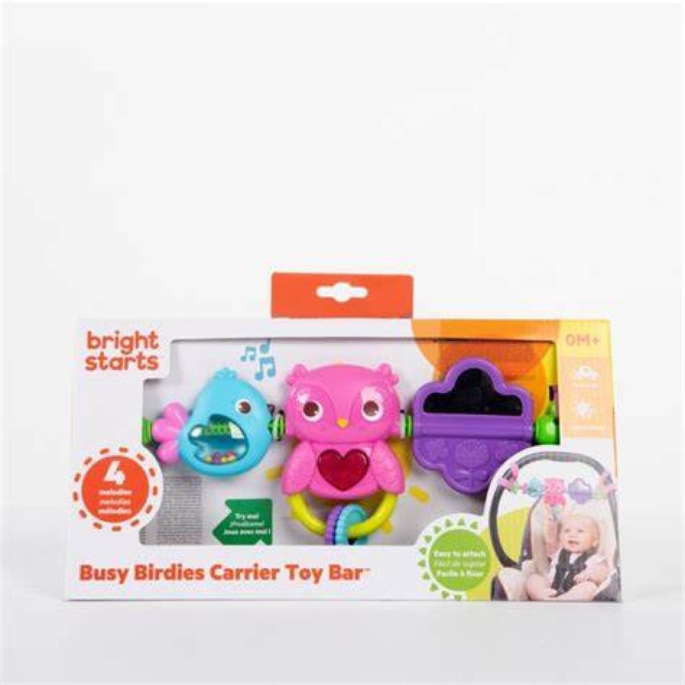 Bright Starts - Busy Birdies Carrier Toy Bar Toy - Pink