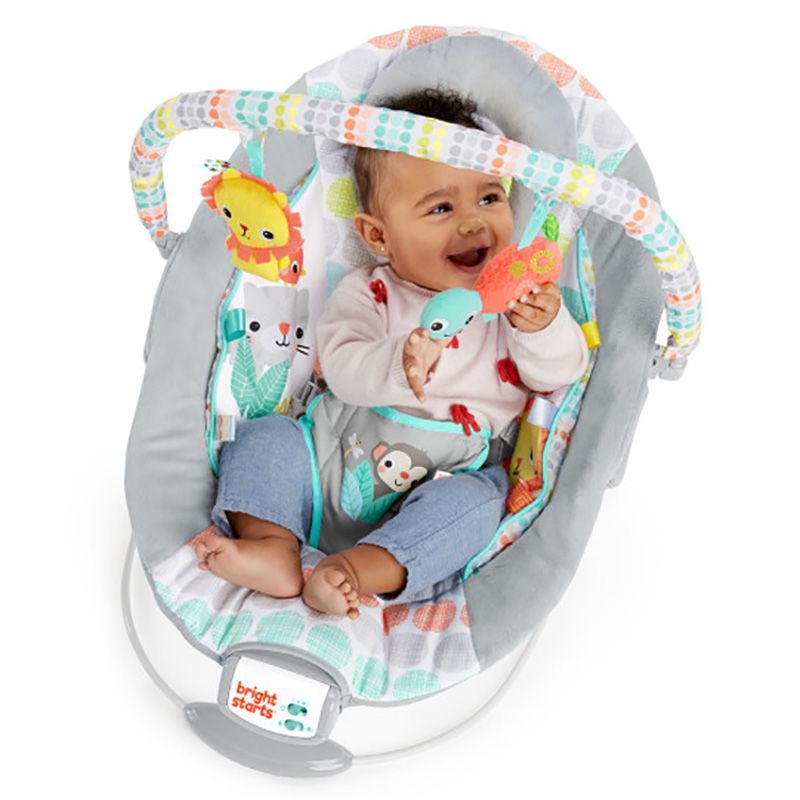 Bright Starts - Whimsical Wild - Cradling Bouncer