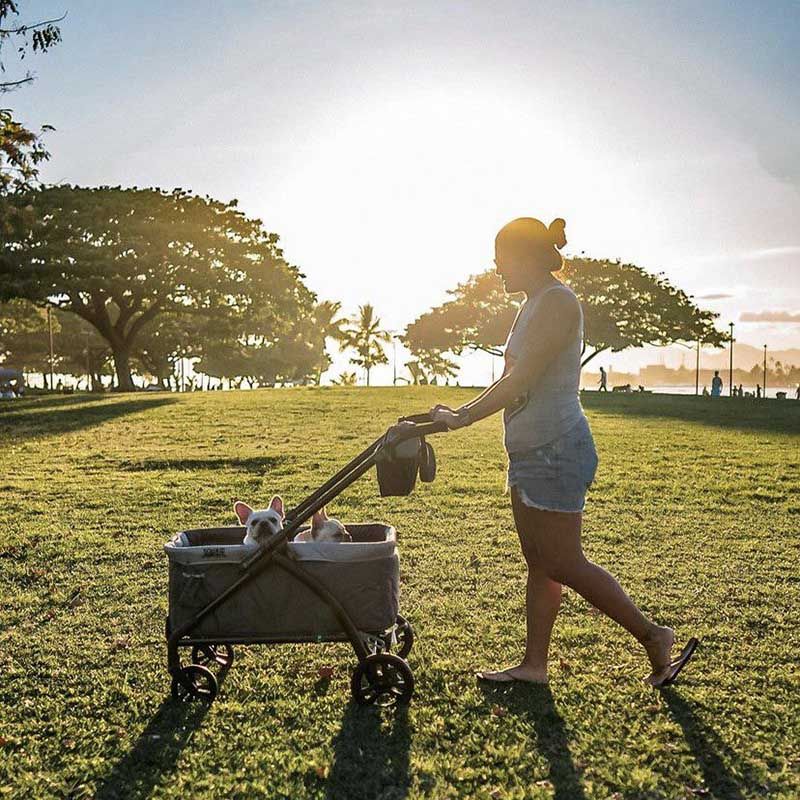 Babytrend - 2-In-1 Tour Lte Stroller Wagon - Desert Blue