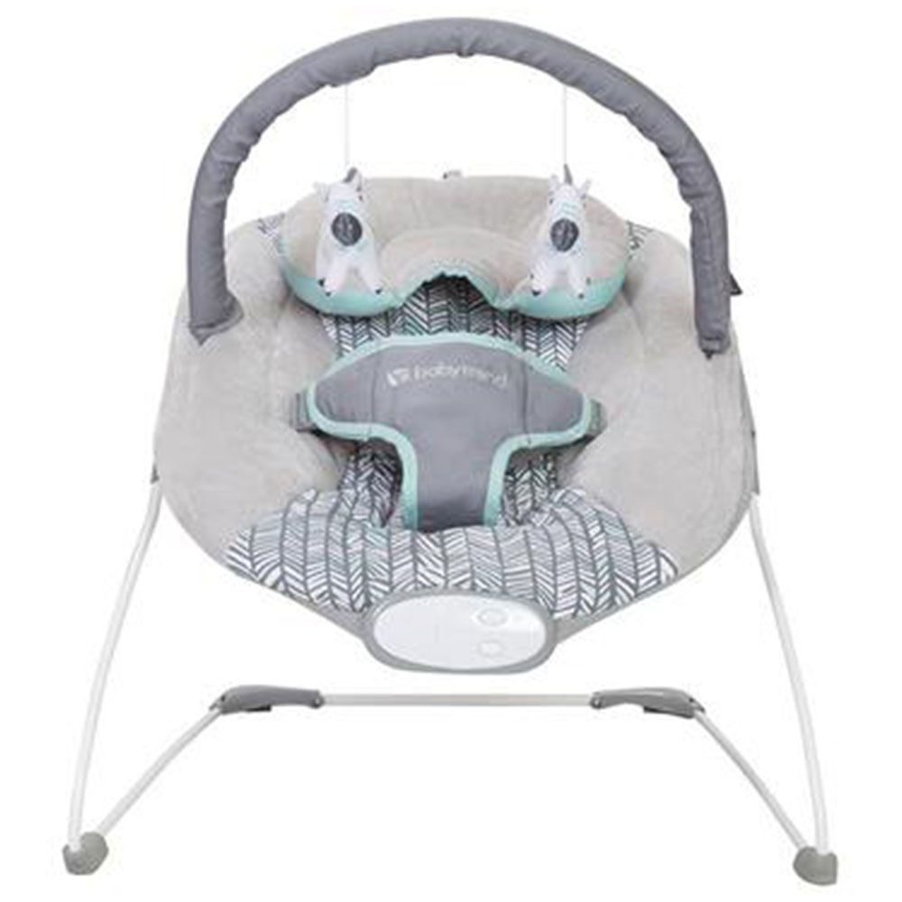 Babytrend - Trend EZ Bouncer - Ziggy