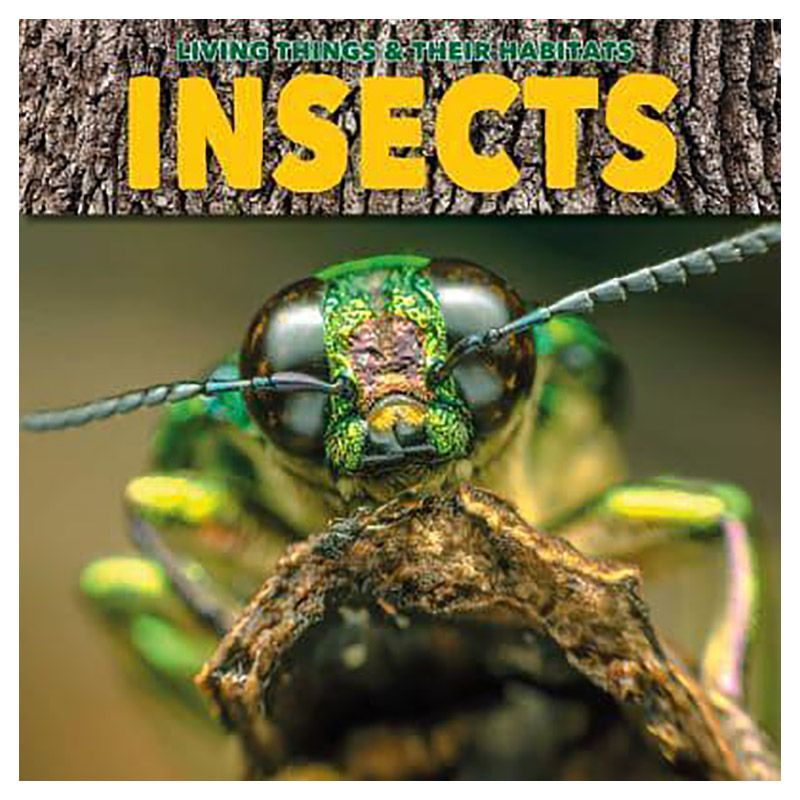 Living Things & Their Habitats: Insects