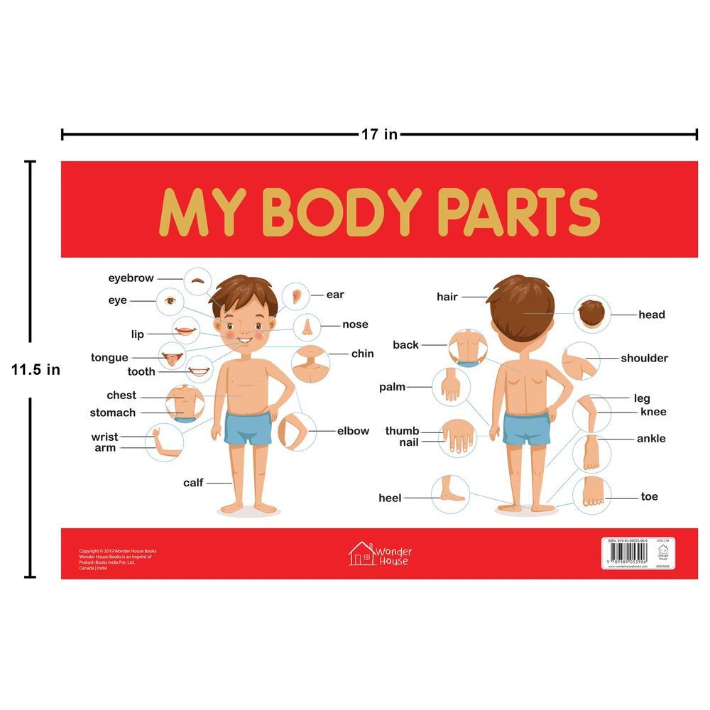 Prakash Books - My Body Parts Wall Chart 