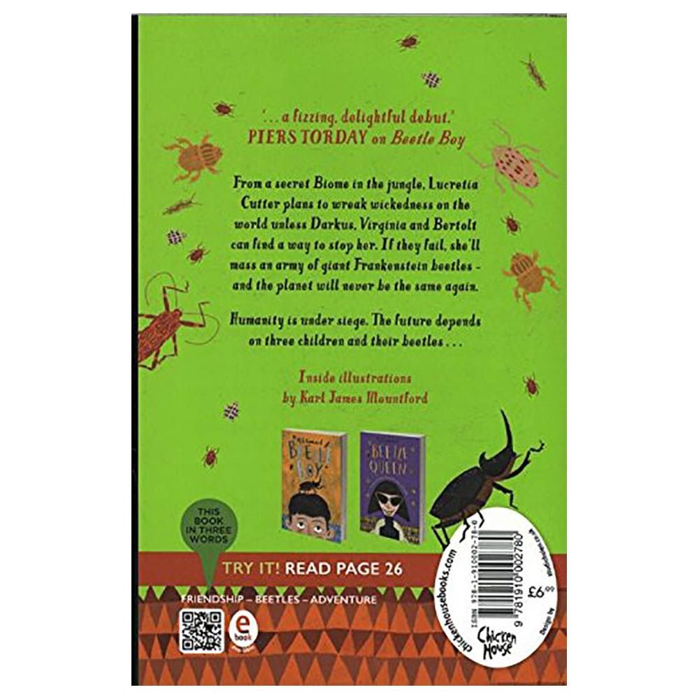 Usborne Books - Battle Of The Beetles