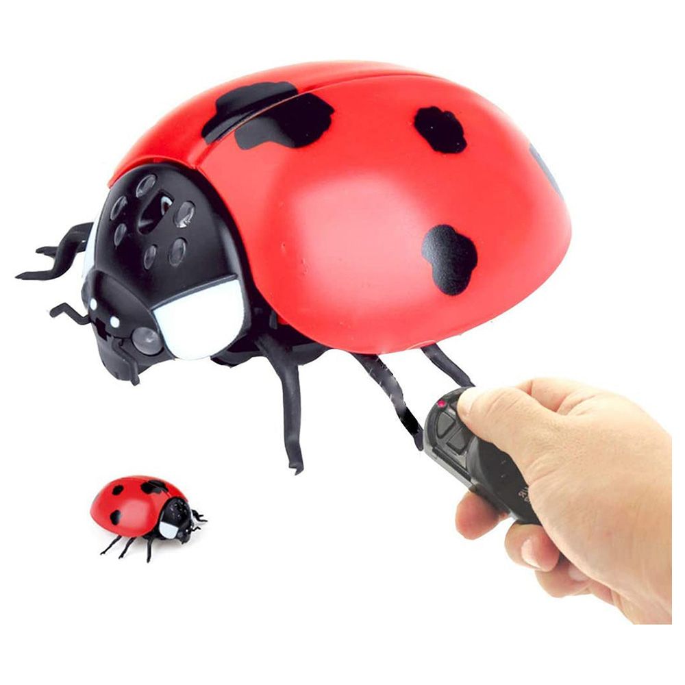 Fitto - Remote Control Wall Climbing Ladybug Toy - Red