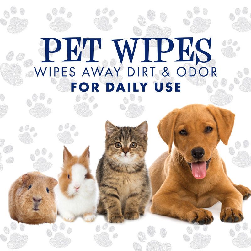 Doctor Pet Wipes 56's – 99% Water, Hypoallergenic