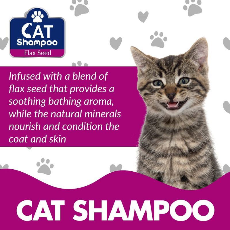 Doctor Pet Cat Shampoo 400ML – Flax Seed, Healthy Coat