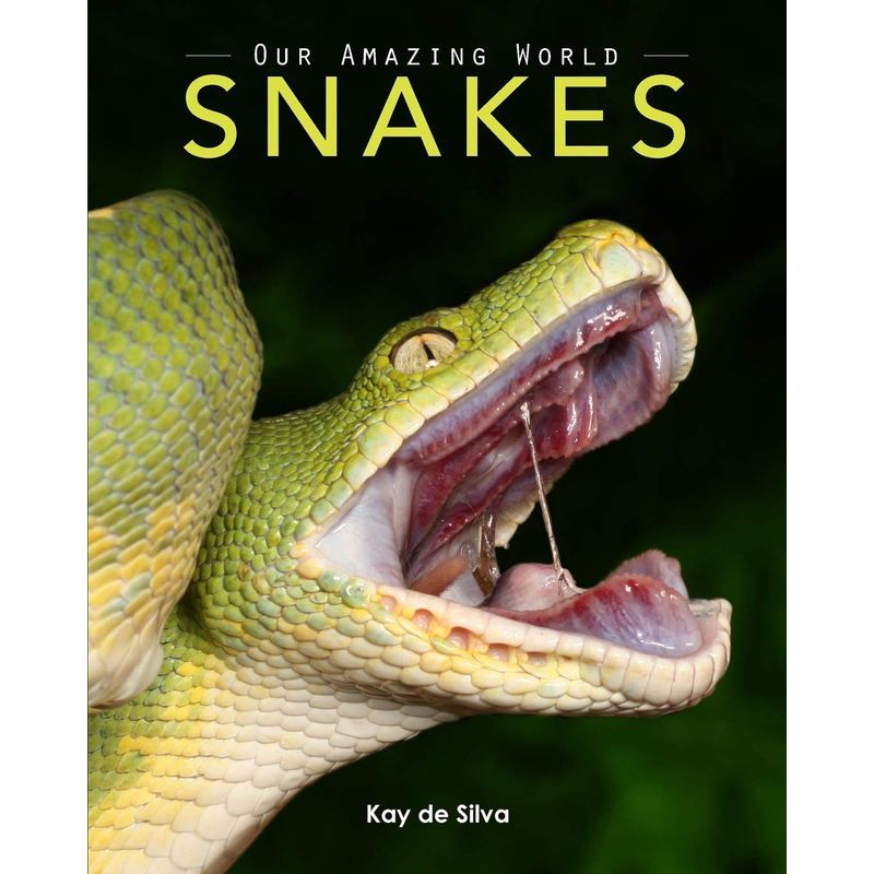 Snakes: Amazing Pictures & Fun Facts On Animals In Nature