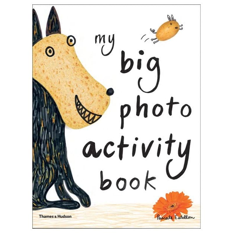  كتاب my big photo activity book