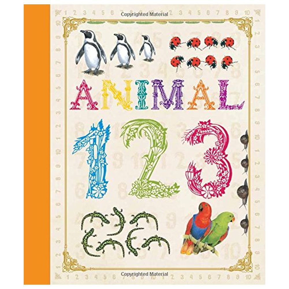  كتاب first concept: animal 123