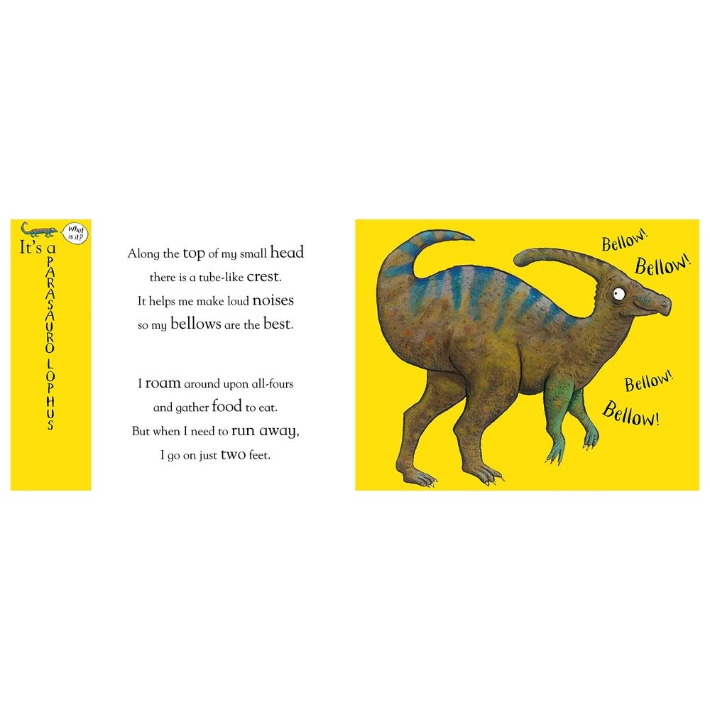 كتاب Axel Scheffler's Flip Flap Dinosaurs