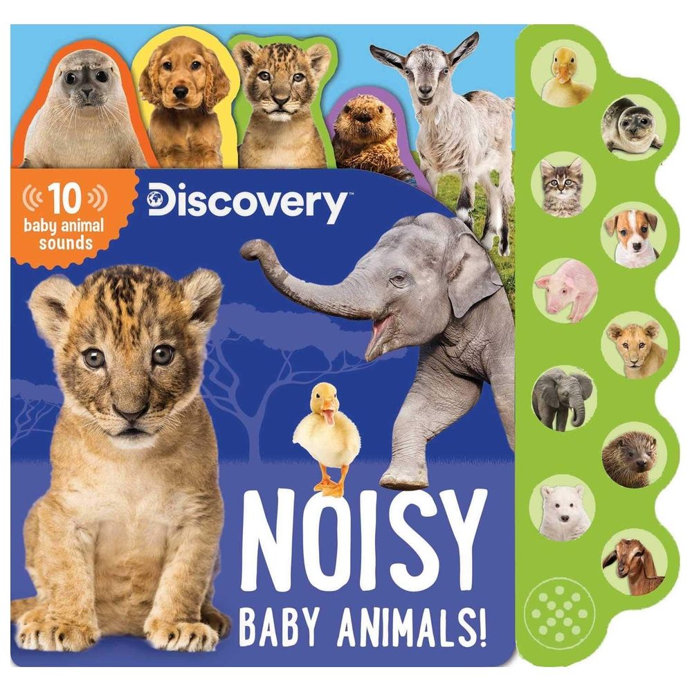  كتاب discovery: noisy baby animals!