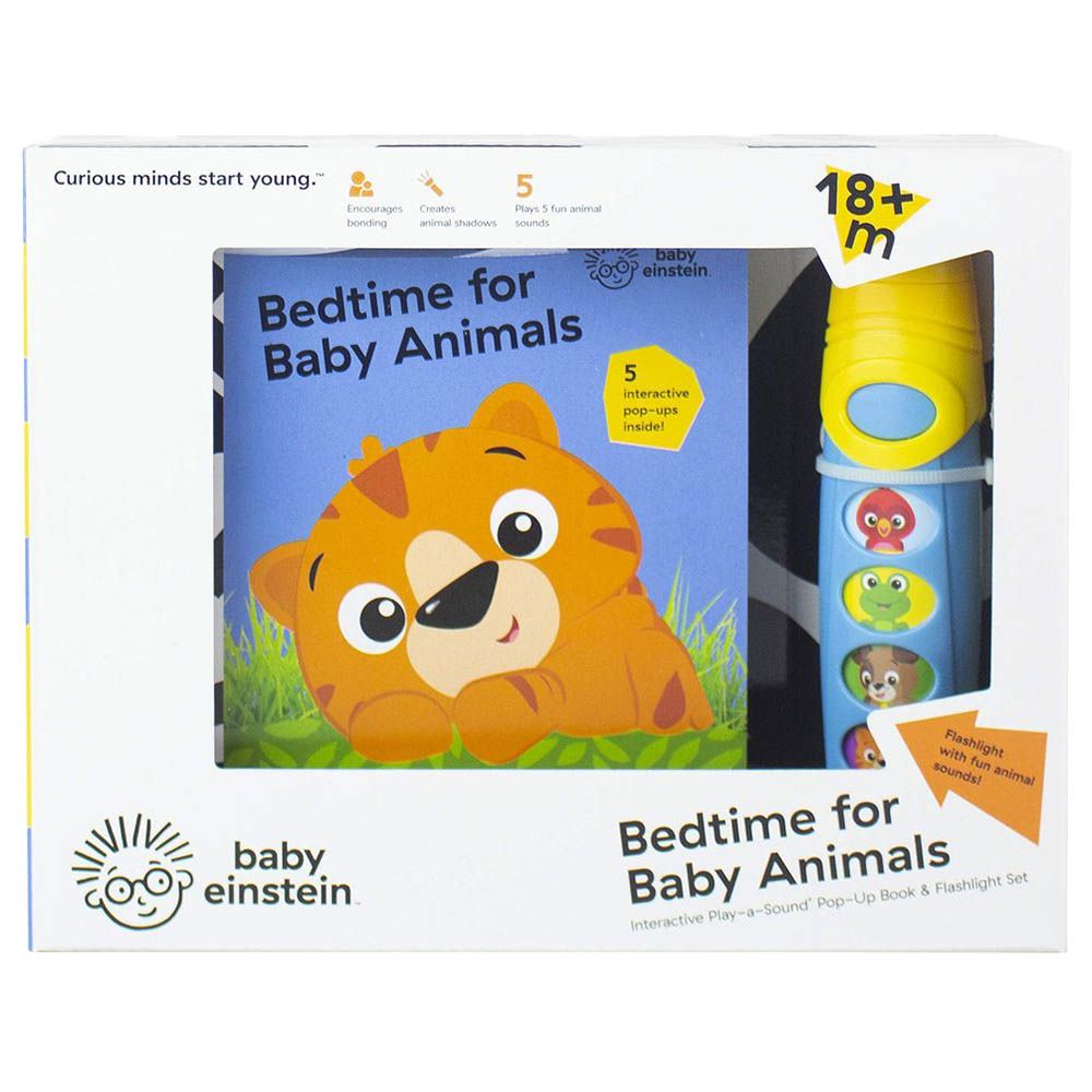 كتاب Baby Einstein Little Flashlight Box