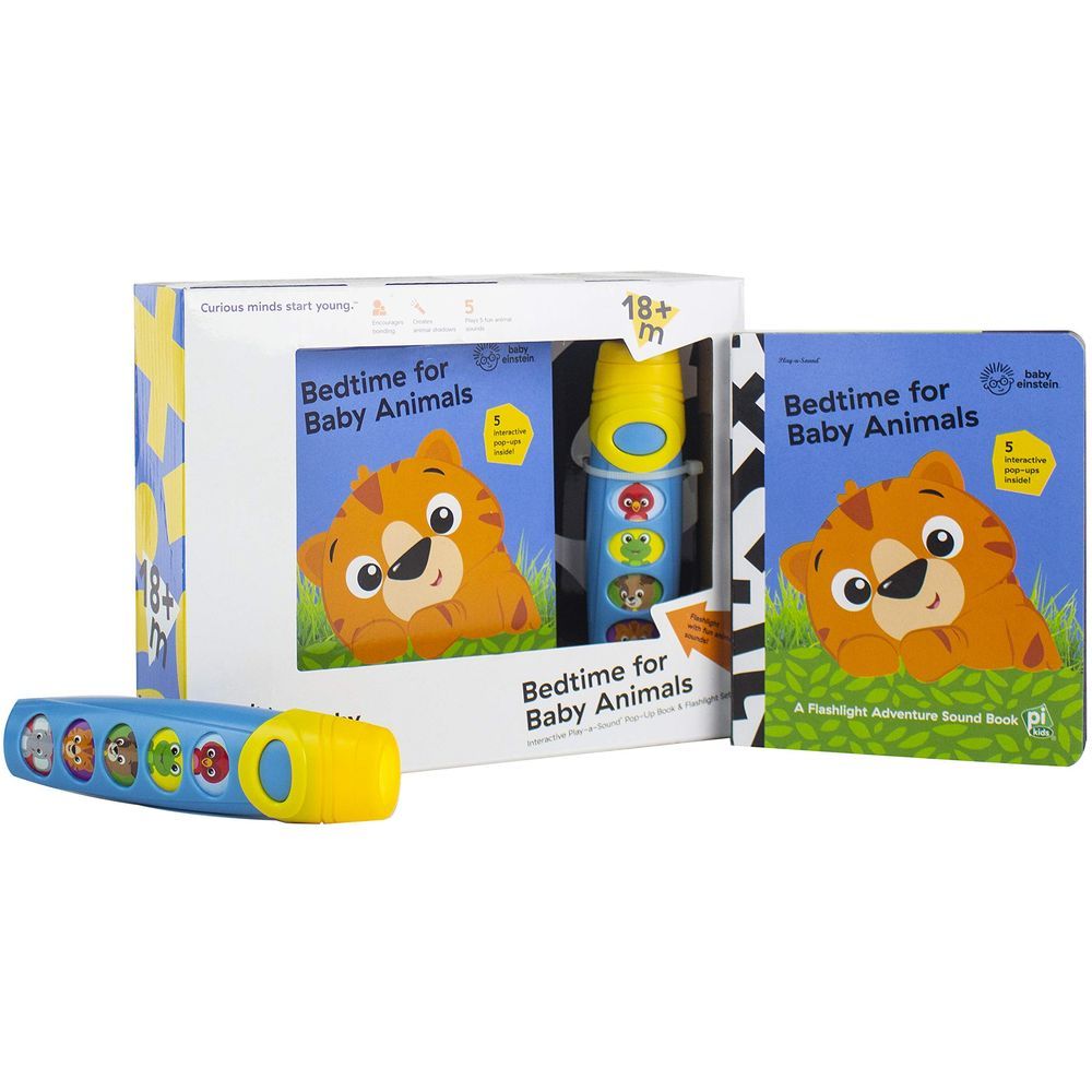 كتاب Baby Einstein Little Flashlight Box