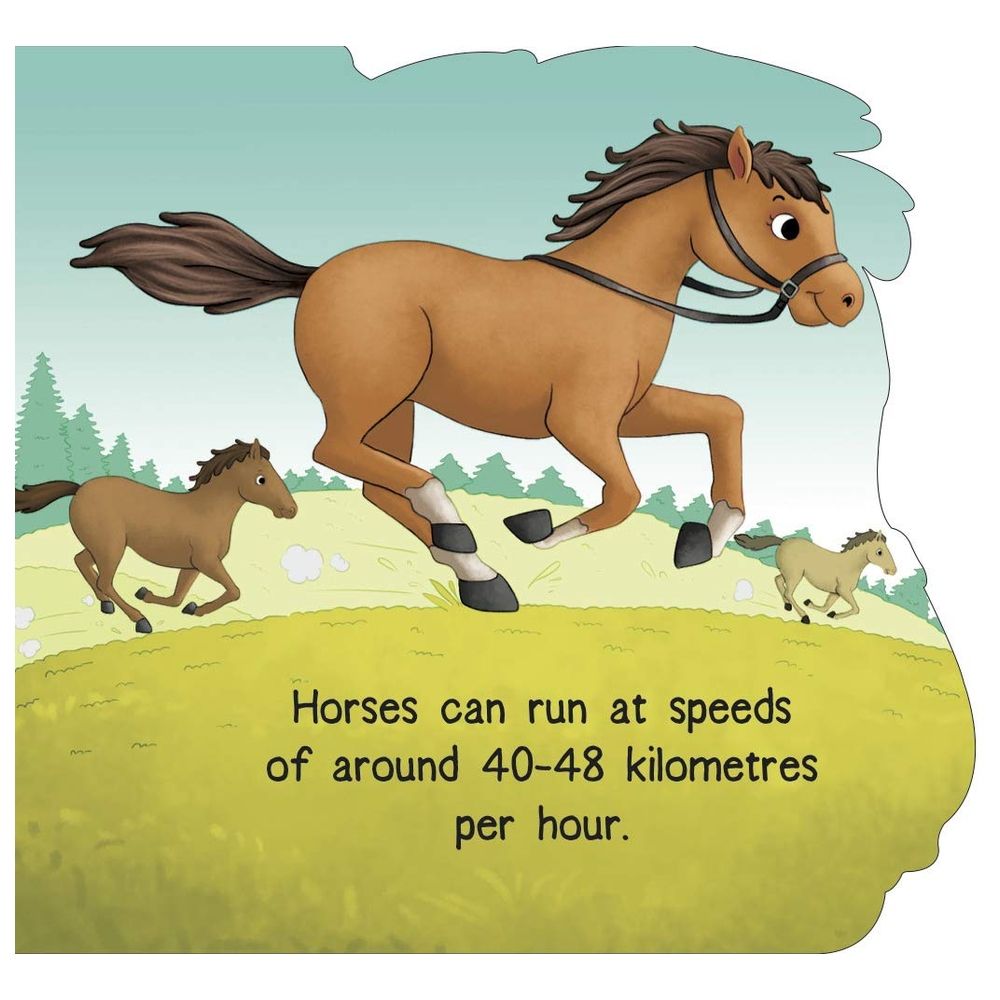  كتاب horse : cutout board book