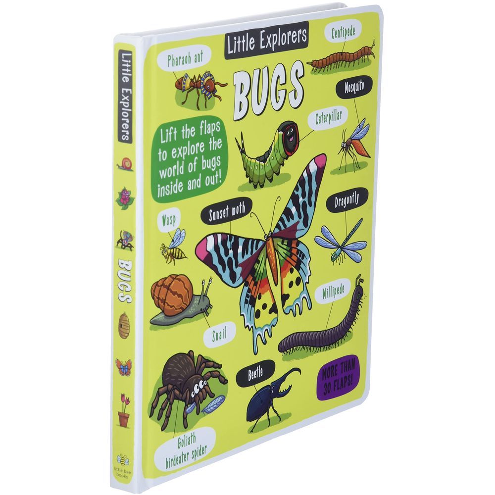  كتاب little explorers: bugs