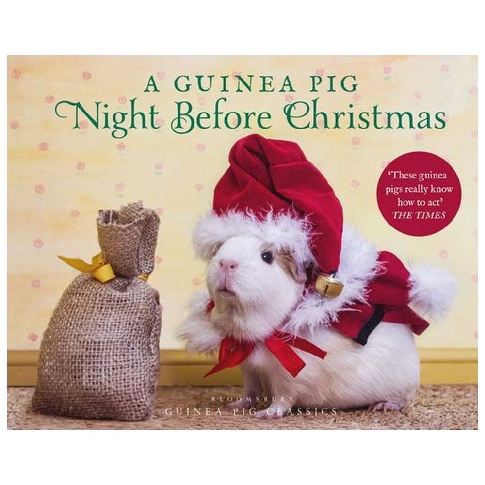  كتاب a guinea pig night before christmas