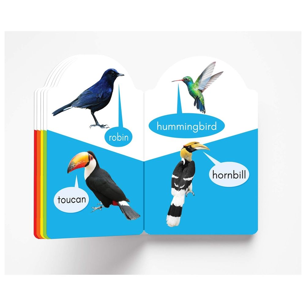  كتاب my early learning book of bird: attractive shape board books for kids