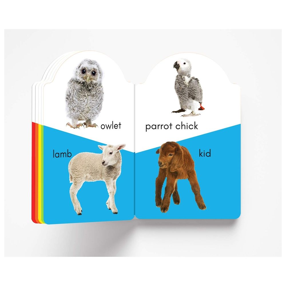 My Early Learning Book Of Baby Animals: Attractive Shape Board Books For Kids