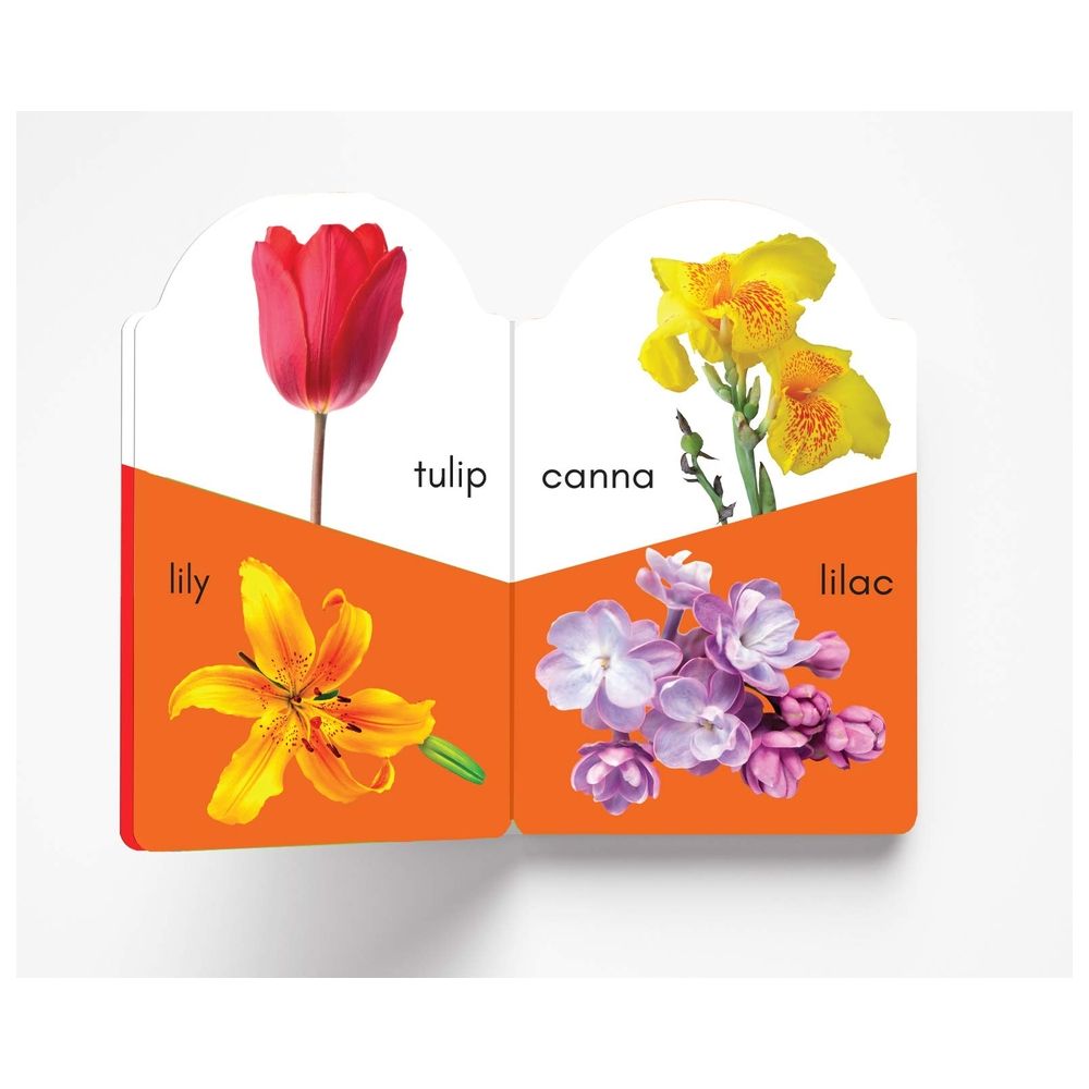 My Early Learning Book Of Flowers: Attractive Shape Board Books For Kids