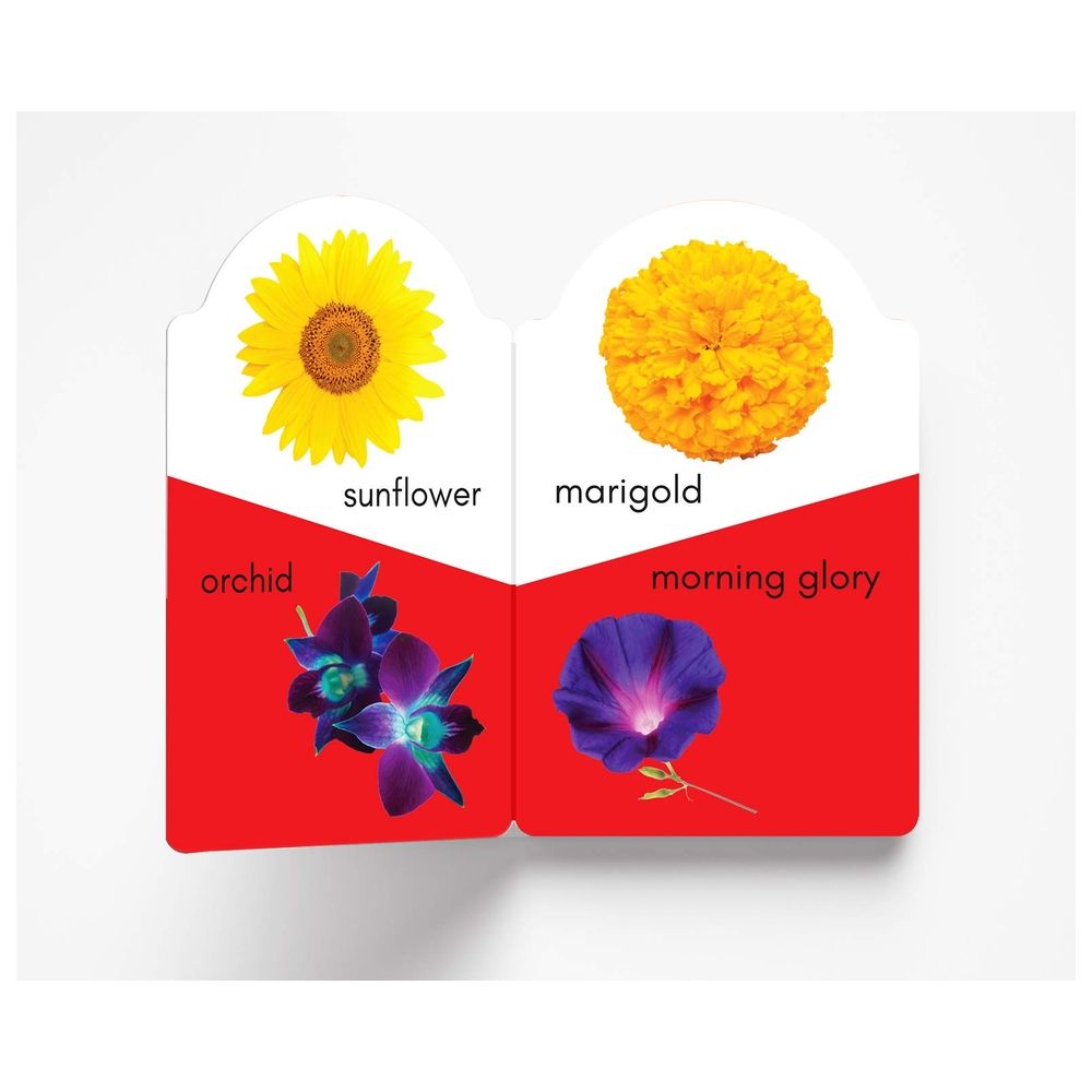 My Early Learning Book Of Flowers: Attractive Shape Board Books For Kids