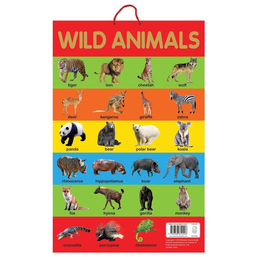  كتاب wild animals - early learning educational posters