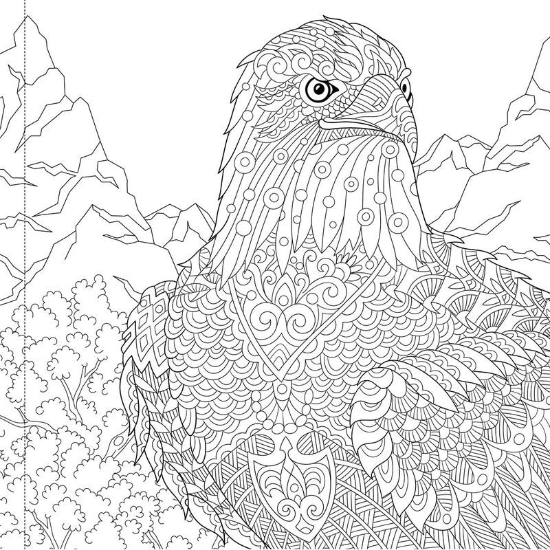 Majestic Animals: Colouring Book