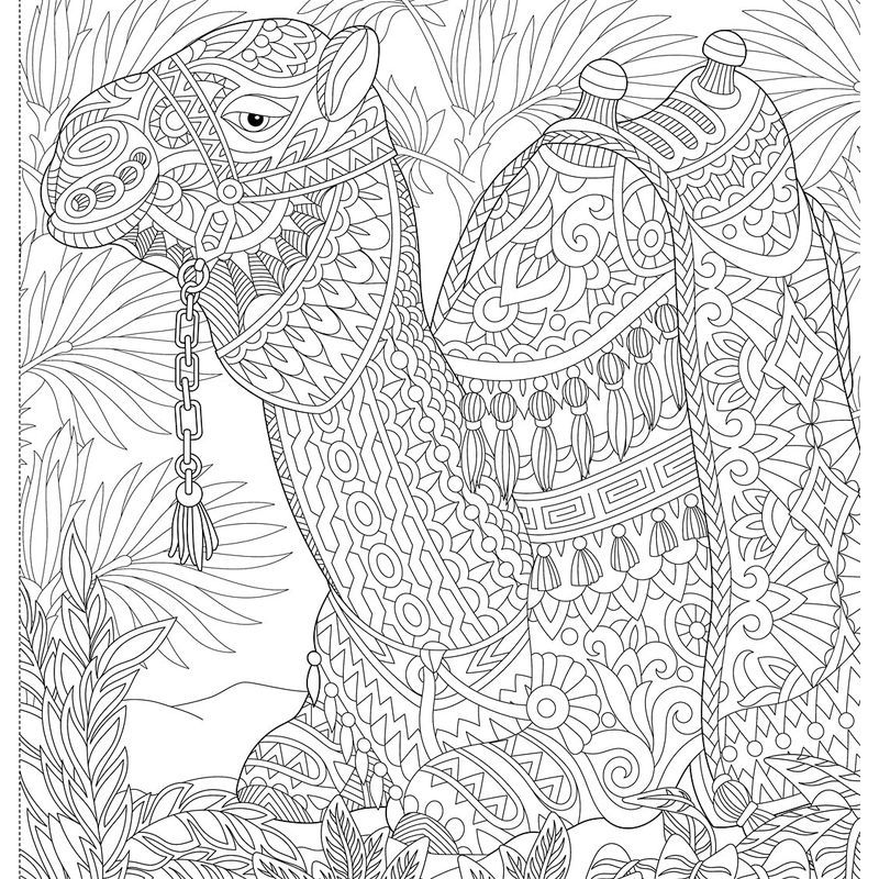 Majestic Animals: Colouring Book