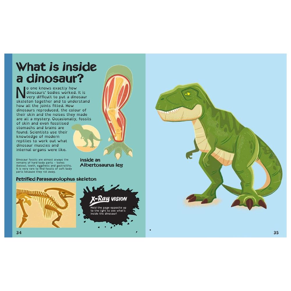 Books With X-Ray Vision: Dinosaurs