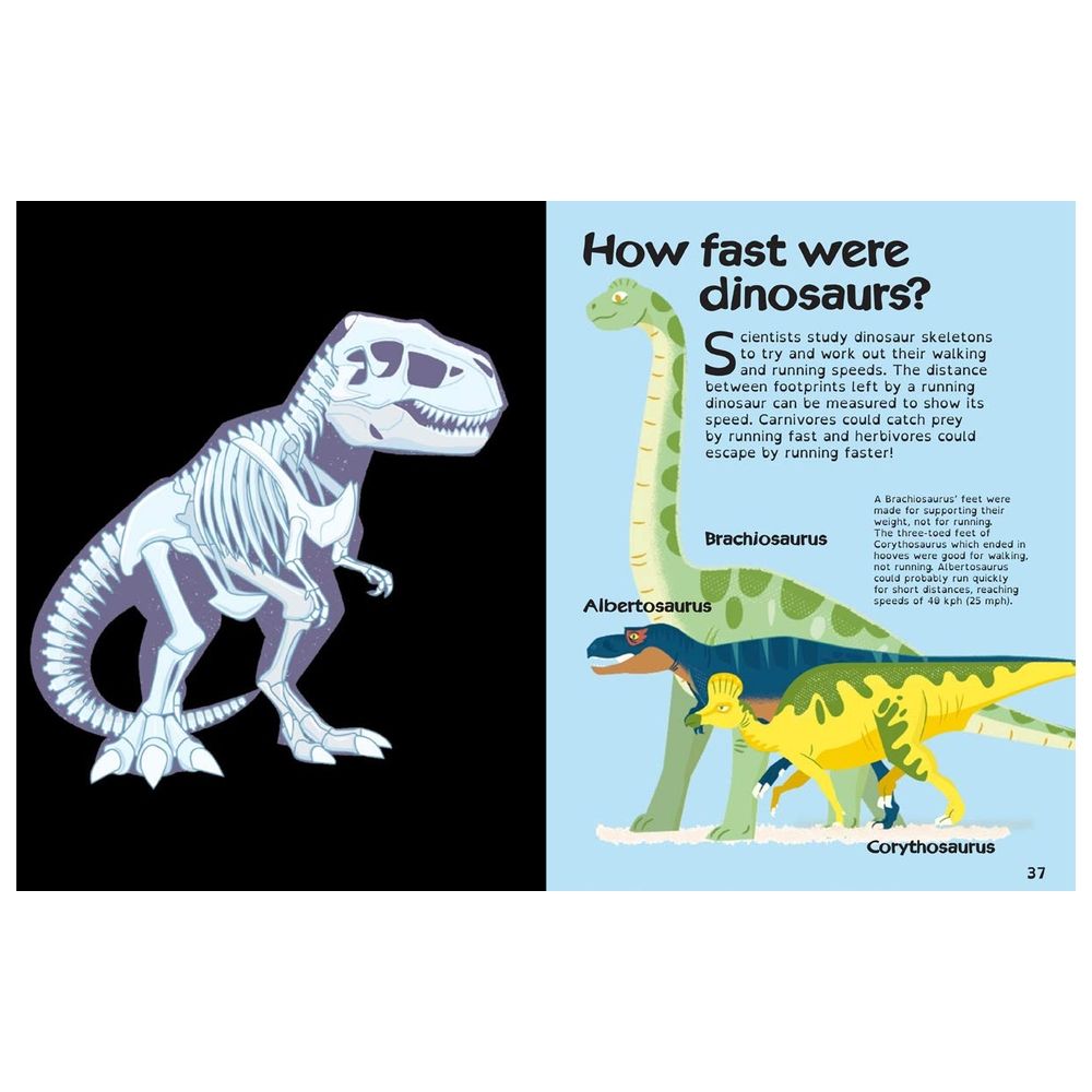  كتاب books with x-ray vision: dinosaurs