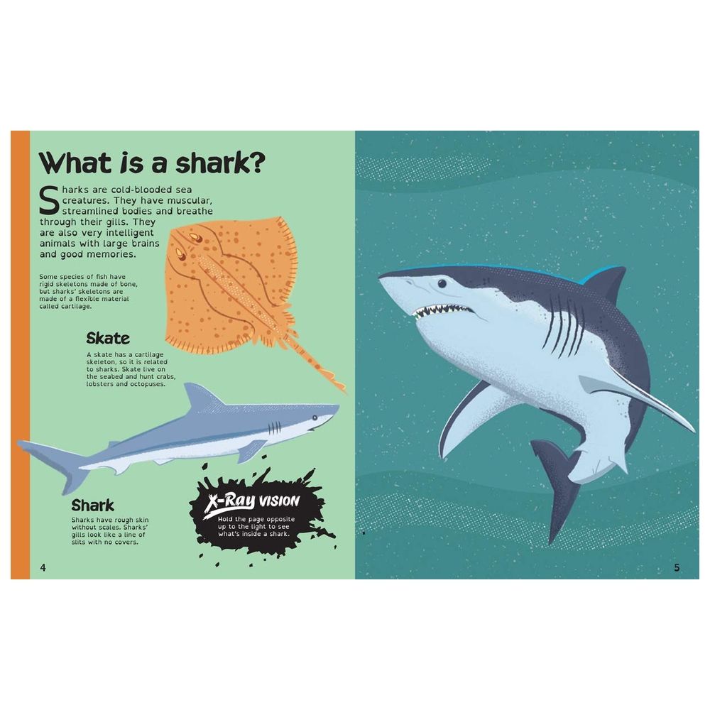 Books With X-Ray Vision: Sharks