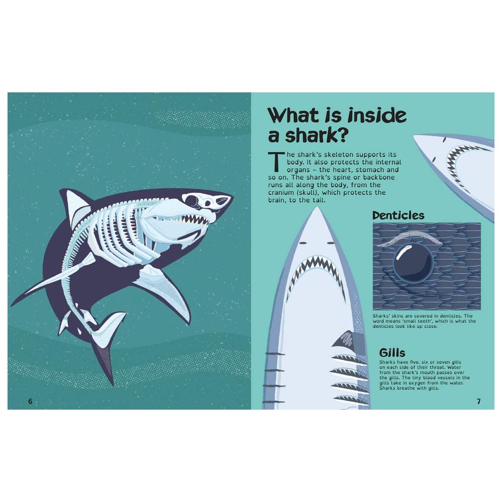  كتاب books with x-ray vision: sharks