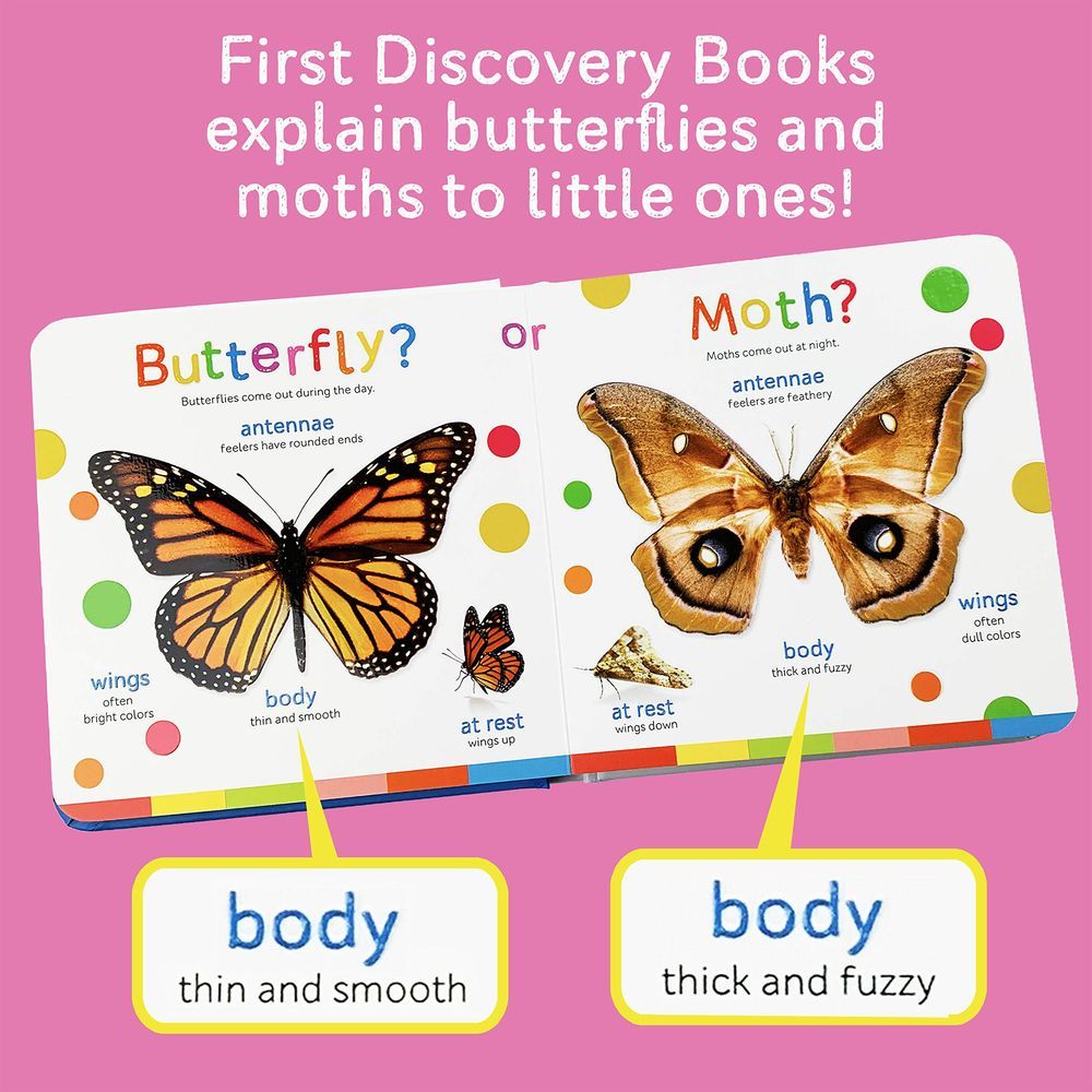  كتاب butterflies and moths: first discovery books