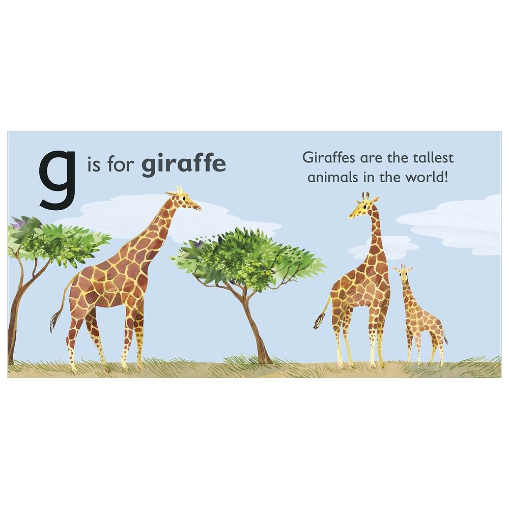  كتاب g is for giraffe