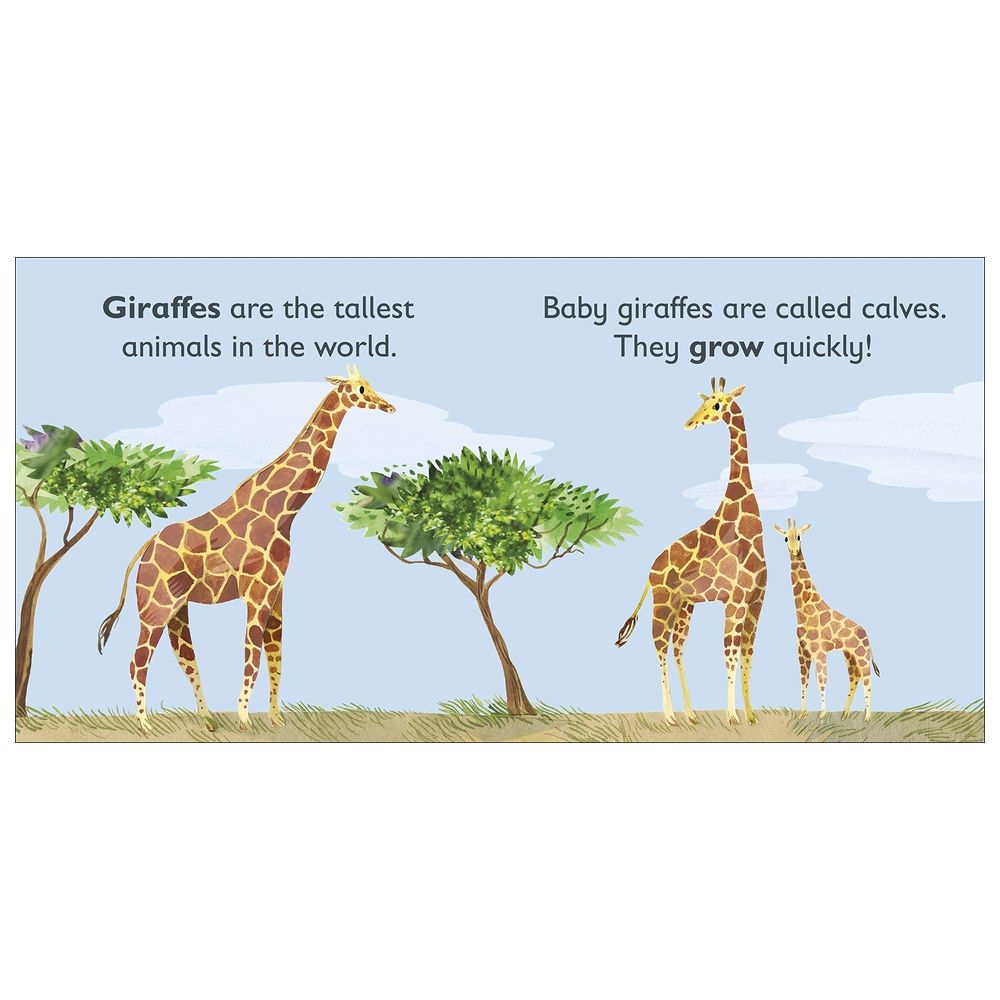 G Is For Giraffe