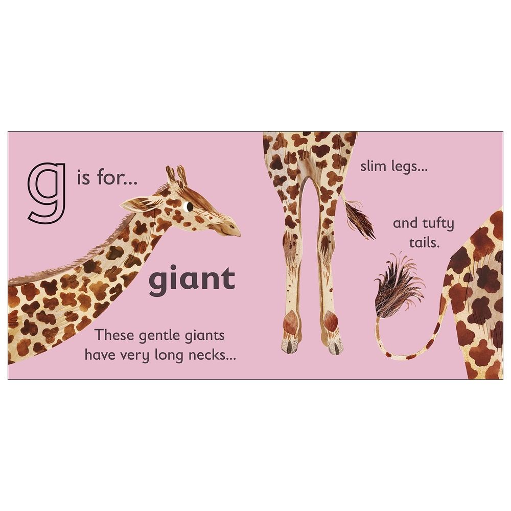  كتاب g is for giraffe