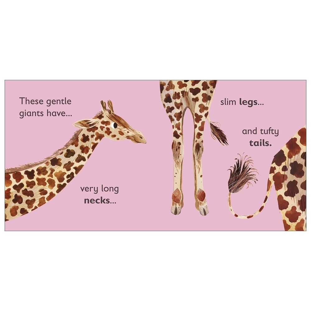 G Is For Giraffe